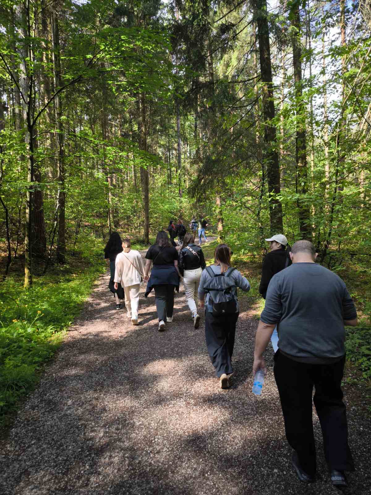 Group activity in Ljubljana
